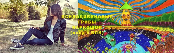 соль ск Костерёво