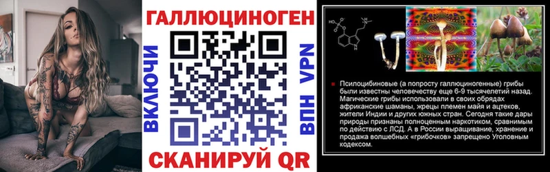 Псилоцибиновые грибы Psilocybe  купить   Магас 